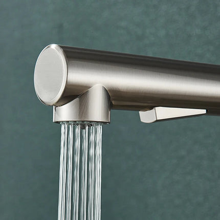 Pull-out kitchen taps with spray regulator