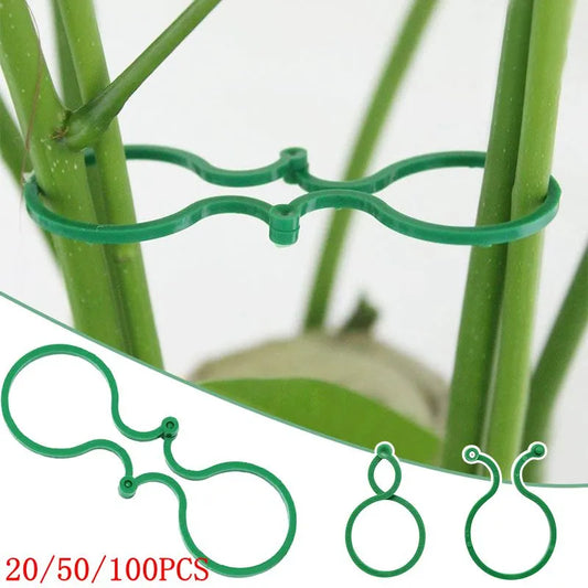 Clips de plástico para sujetar plantas, anillo de hebilla, 20/50/100 piezas