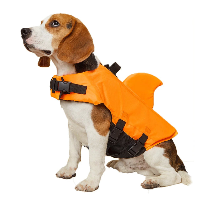 Gilet de sauvetage en aileron de requin pour chien