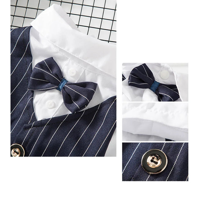 Suit, shirt and bow tie for cats