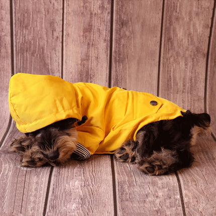 Chubasquero amarillo impermeable para perros