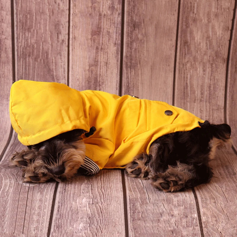 Chubasquero amarillo impermeable para perrosRopaAnimals & Pet Supplies > Pet Supplies > Pet Apparel > Pet Rain Coats