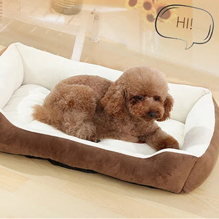 Winter bed with cushion and blanket for dogs