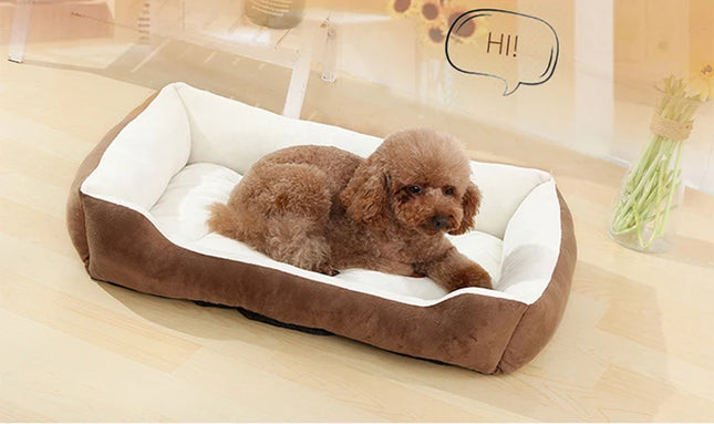 Lit d'hiver avec coussin et couverture pour chien