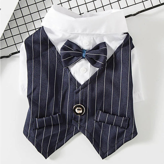 Suit, shirt and bow tie for cats