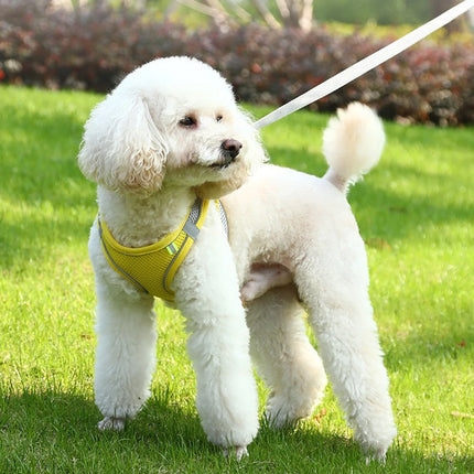 Adjustable pet harness and leash set