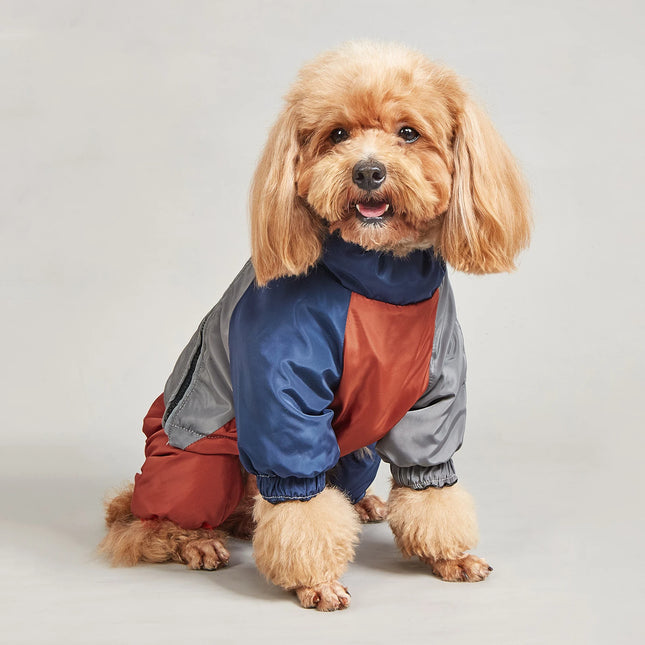 Veste réfléchissante pour chien 2 en 1