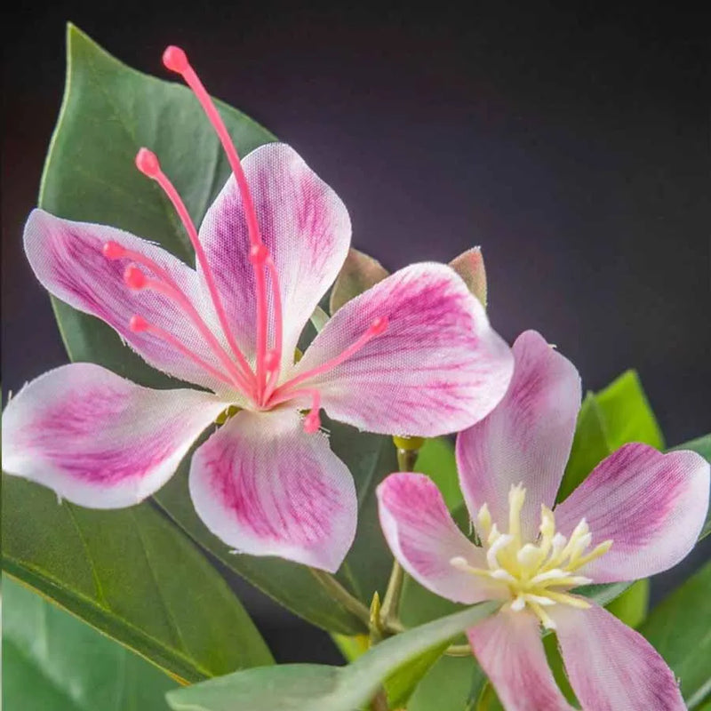 Ficus artificial tropical con flores blancas y rosas | 80/120 cm decoración hogar y jardín sin macetaPlantas artificialesHome & Garden > Decor > Artificial Flora > Artificial Flowering Plants