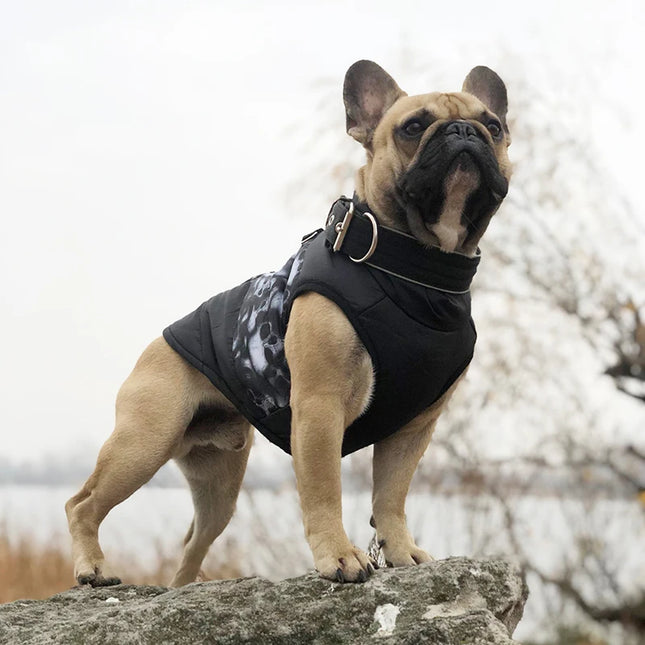 Gilet imperméable pour chien avec imprimé camouflage