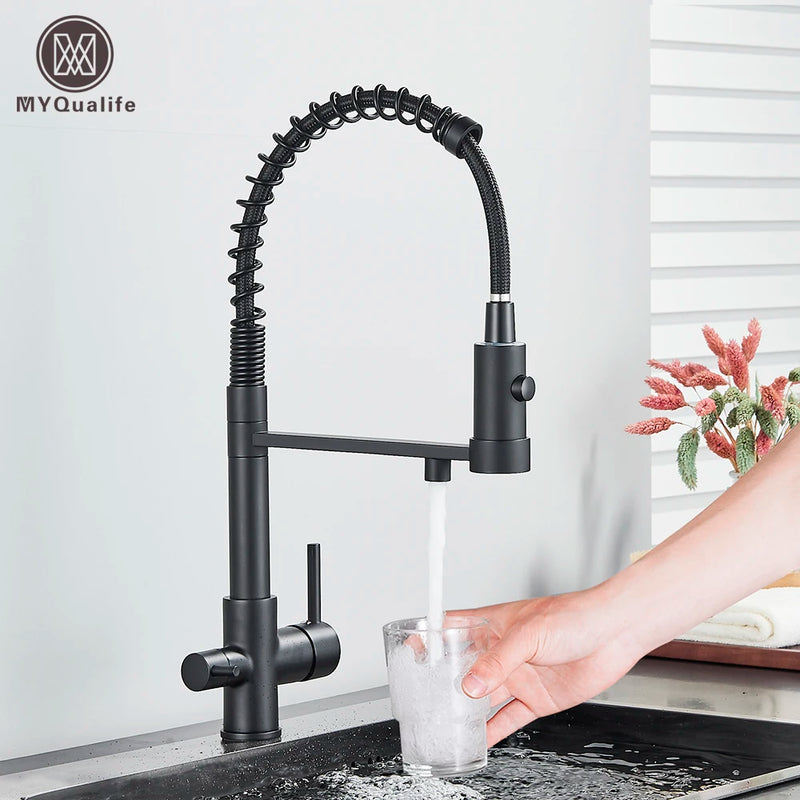 Grifo de cocina negro mate con filtro y doble manijaGrifosHardware > Plumbing > Plumbing Fixtures > Faucets > Kitchen Sink Faucets