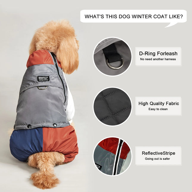 Veste réfléchissante pour chien 2 en 1