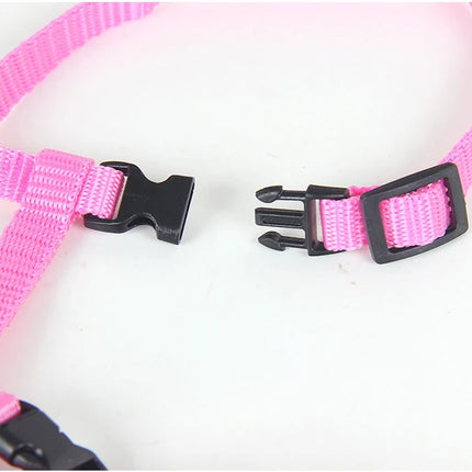 Cat harness and leash set