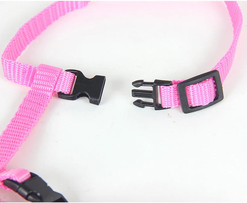 Set de correa y arnés para gatosCorreasAnimals & Pet Supplies > Pet Supplies > Pet Collars & Harnesses > Harnesses