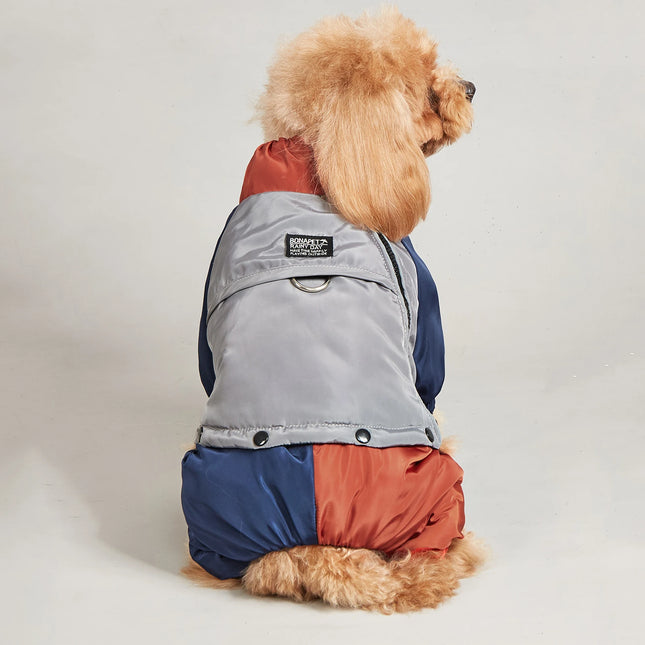 Veste réfléchissante pour chien 2 en 1