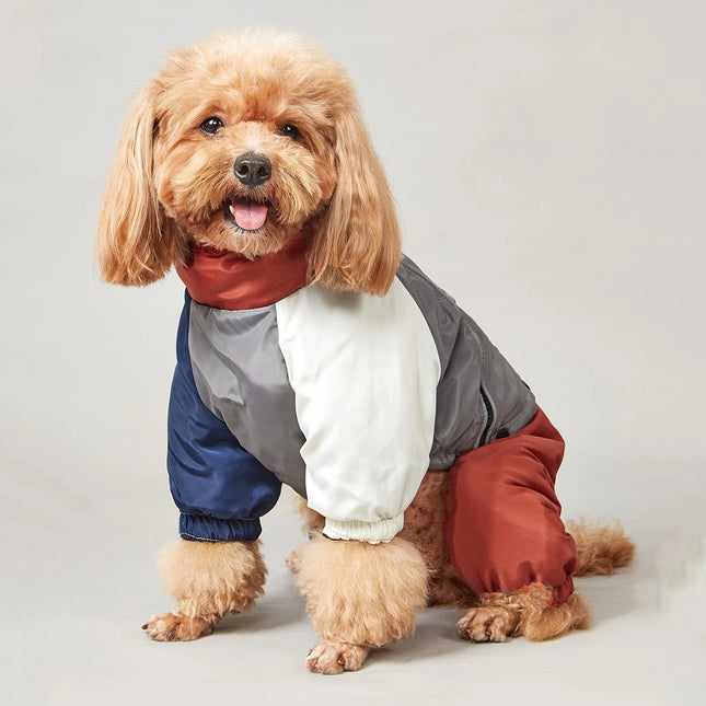 Veste réfléchissante pour chien 2 en 1