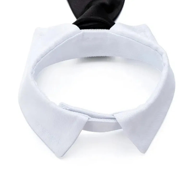 Corbata ajustable para mascotasRopaAnimals & Pet Supplies > Pet Supplies > Pet Apparel > Pet Collars & Ties