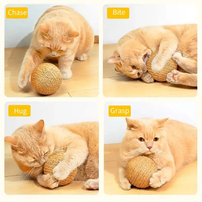 Pelota interactiva para gatos grandes para morder y rascar