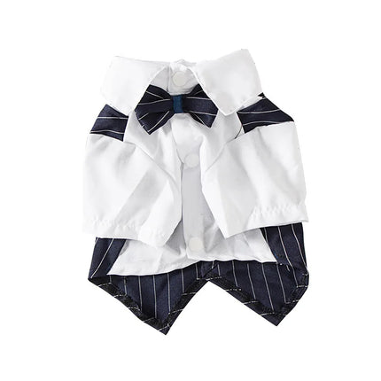 Suit, shirt and bow tie for cats