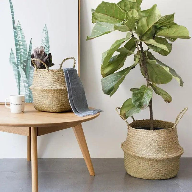 Storage baskets for plants and ornaments