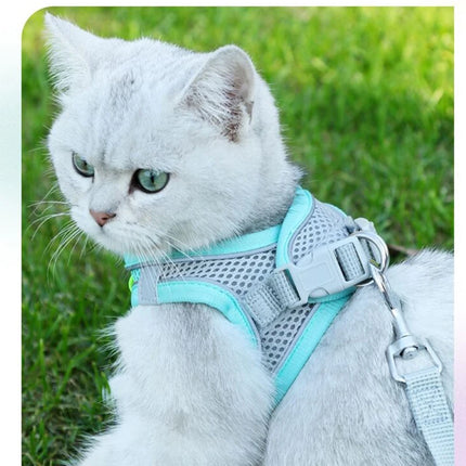 Adjustable pet harness and leash set