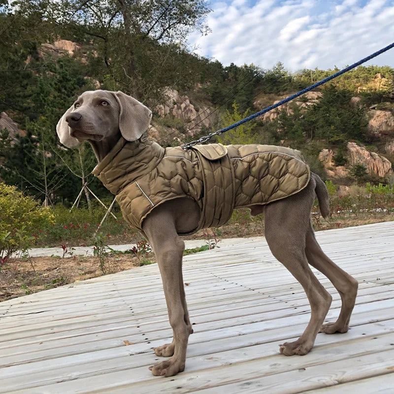 Chaqueta acolchada y ajustable para perros grandes - Impermeable y reflectanteRopaAnimals & Pet Supplies > Pet Supplies > Pet Apparel > Pet Jackets