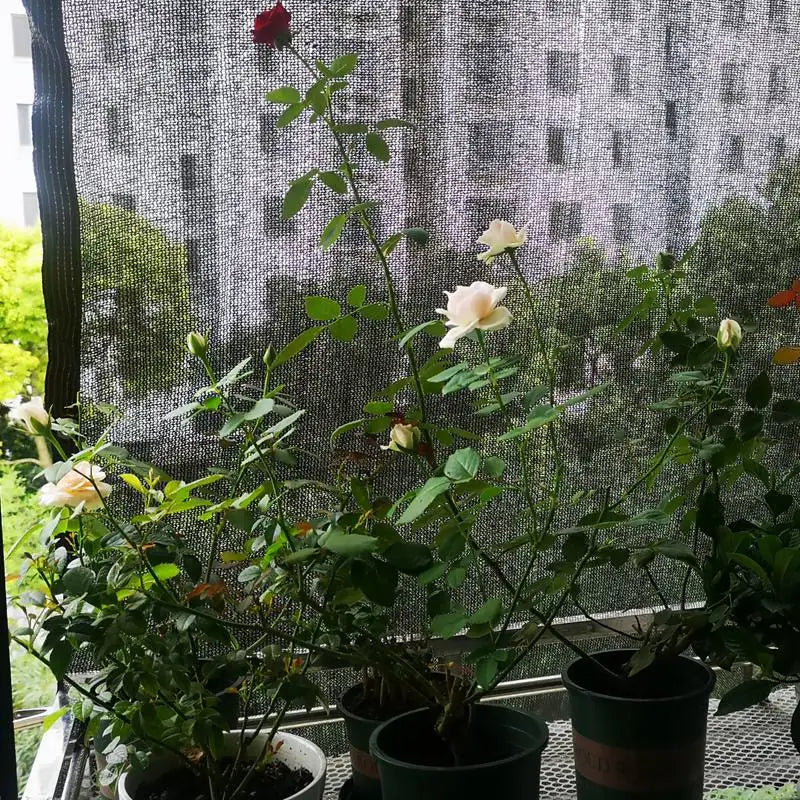 Malla de sombra negra HDPE 40–90 % anti-UV para jardín o invernaderoMallasHardware > Fencing & Barriers > Fence Panels > Privacy Panels