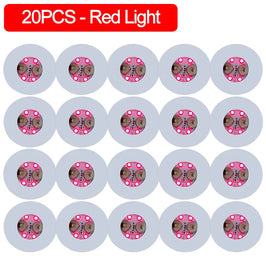 Rojo - 20 unidades / 6 cm