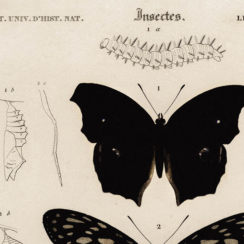 Impresiones de pintura en lienzo de animalesCuadrosHome & Garden > Decor > Artwork > Posters, Prints, & Visual Artwork > Visual Artwork