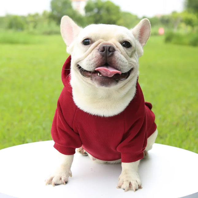 Sweat à capuche d'hiver pour animaux de compagnie