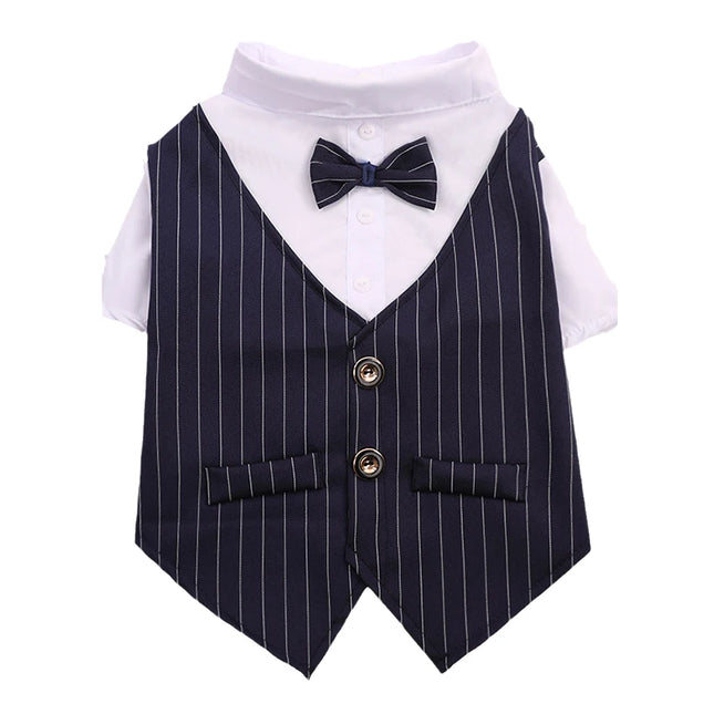 Suit, shirt and bow tie for cats