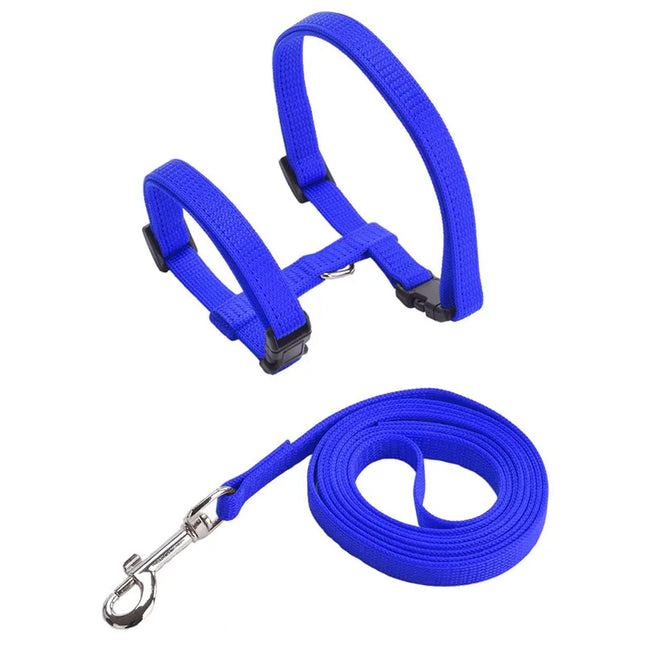 Cat harness and leash set