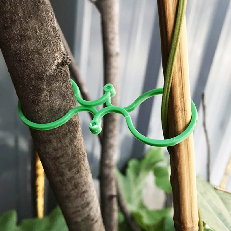 Clips de plástico para sujetar plantas, anillo de hebillaAccesorios de jardineríaHome & Garden > Lawn & Garden > Gardening > Plant Cages & Supports > Plant Supports