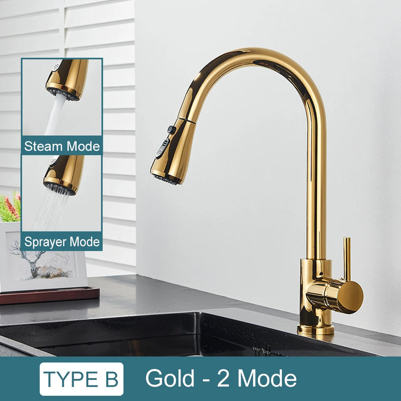Grifo de cocina con doble función y salida retráctilGrifosHardware > Plumbing > Plumbing Fixtures > Faucets > Kitchen Sink Faucets