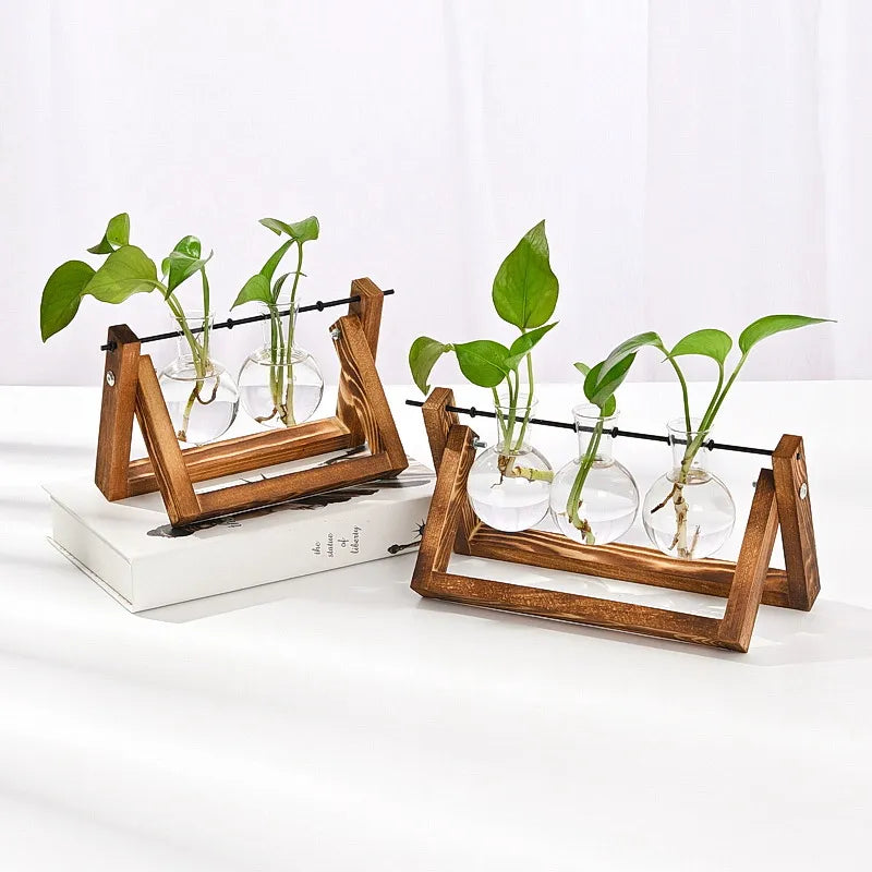 Maceta de vidrio creativo con marco de madera para plantas hidropónicas