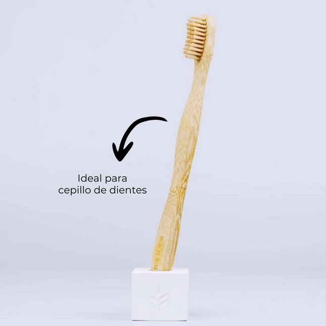 Soporte absorbente para cepillos y maquinilla | seco