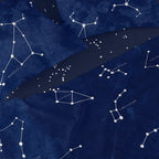 Cosmos Bedsheet