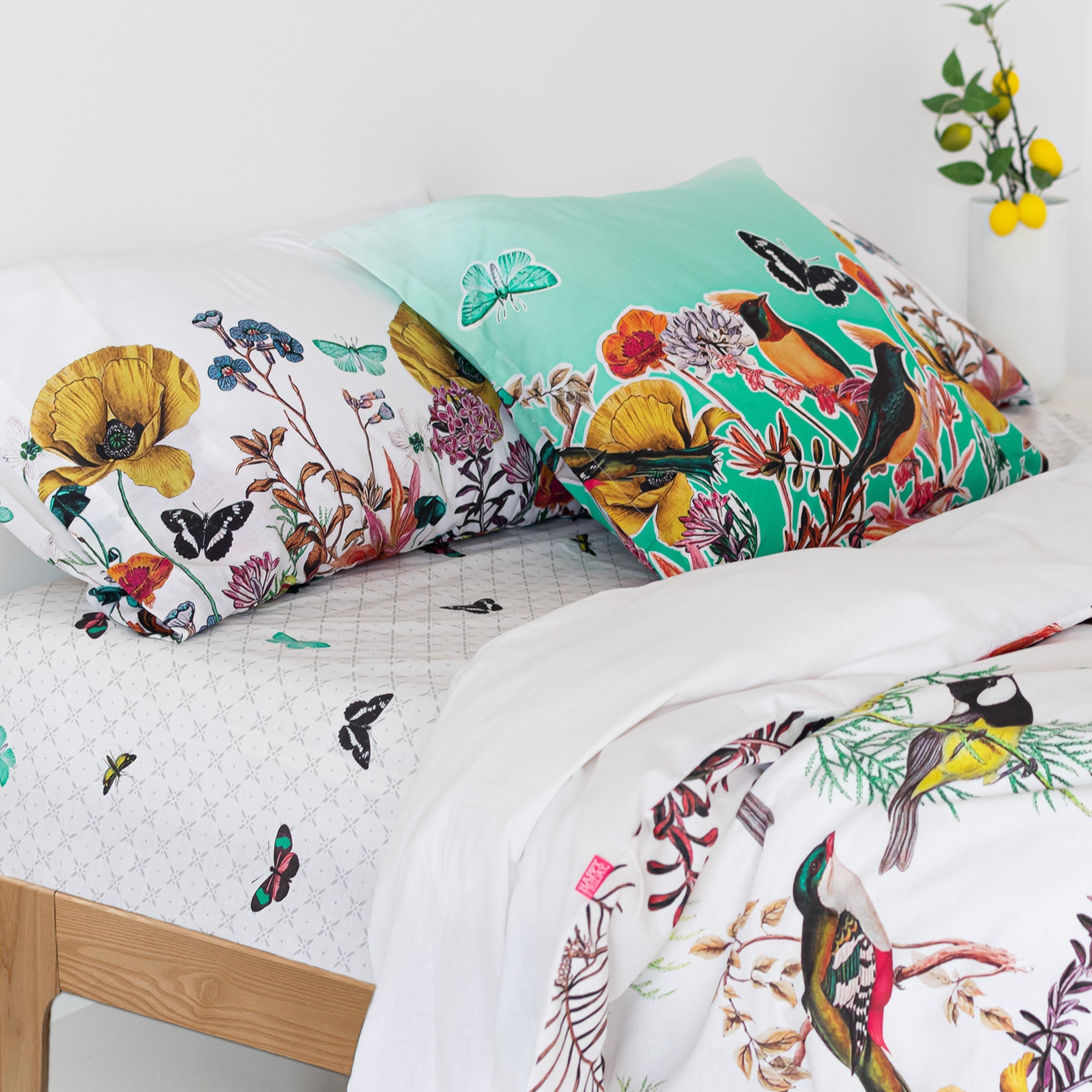 Birds of paradise Bajera