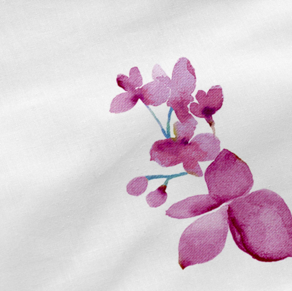 Cassia Shrub