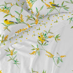 Folha Corniglia