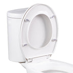 Inodoro completo salida a suelo porcelana blanca sanitaria