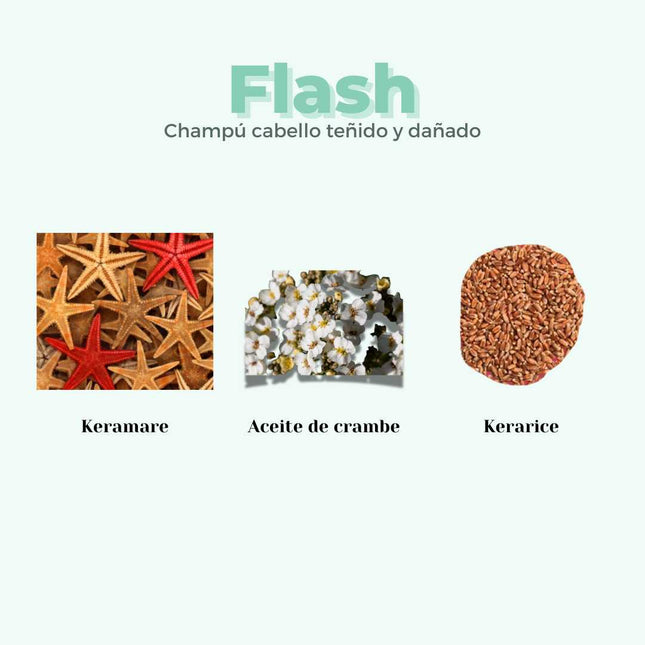 Champú sólido reparador protege el color para cabello dañado