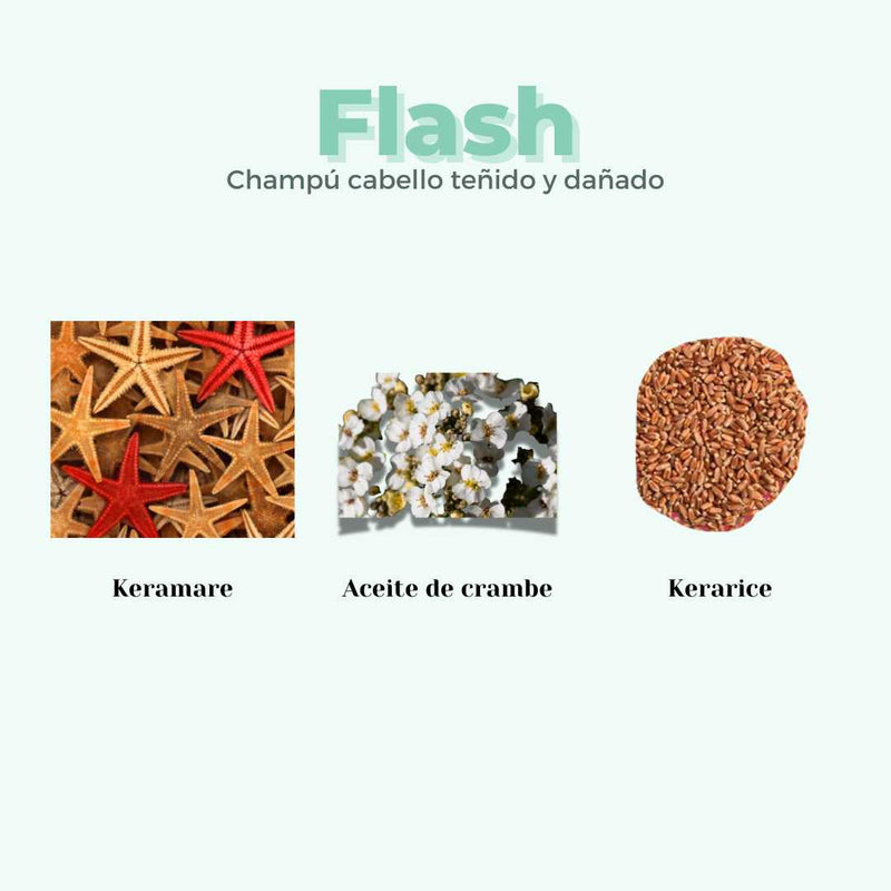 Champú sólido reparador protege el color para cabello dañado