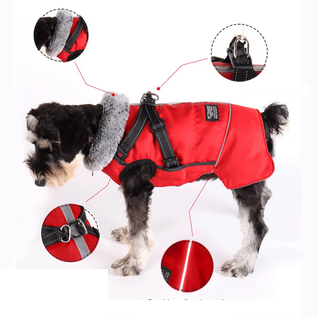 Veste d'hiver imperméable avec harnais et réfléchissant pour chien