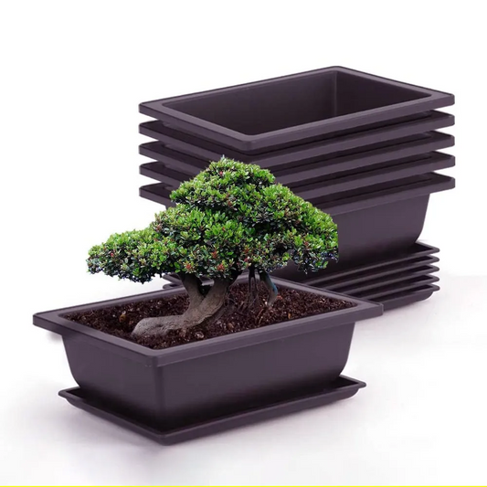 Square pots with trays