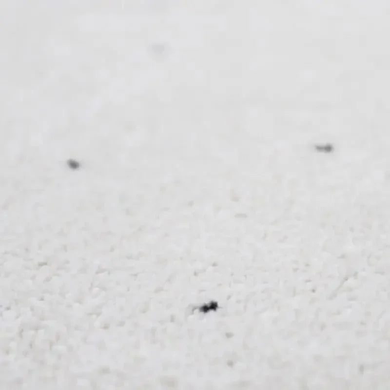 Recycled polypropylene rug for the home | Woolly feel