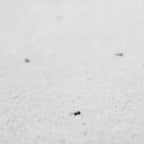 Recycled polypropylene rug for the home | Woolly feel