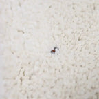 Recycled polypropylene rug | woolly feel and timeless design