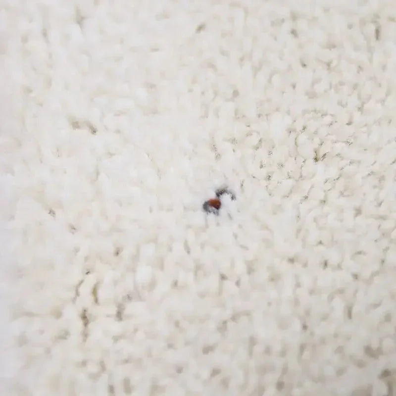 Recycled polypropylene rug | woolly feel and timeless design