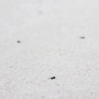 Recycled polypropylene rug | woolly feel and timeless design