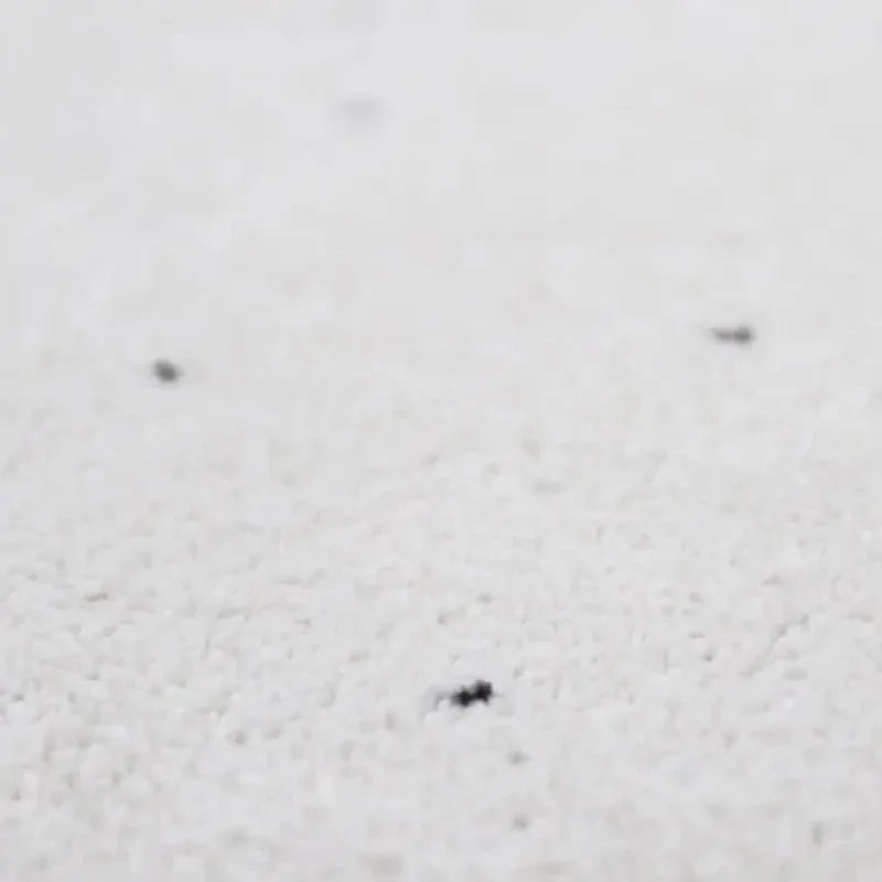 Recycled polypropylene rug | woolly feel and timeless design